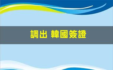 調出 韓國簽證(韓國簽證辦理狀態(tài))